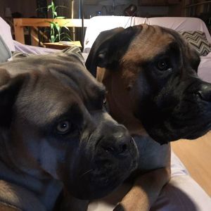 Meet your Posher, Andrea